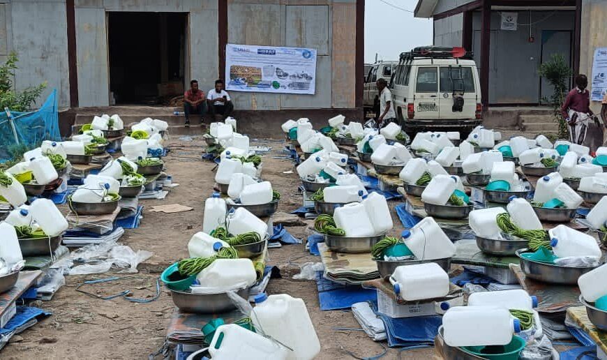 PIADO distributed Emergency Shelter and Non Food Items (ESNFI) to 1,200 Households (HHs) of Conflict